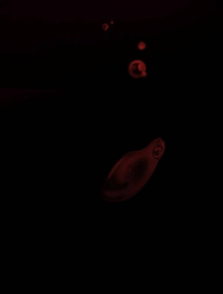 Thanh Kiếm Báo Thù - Chapter 2 - Page 196