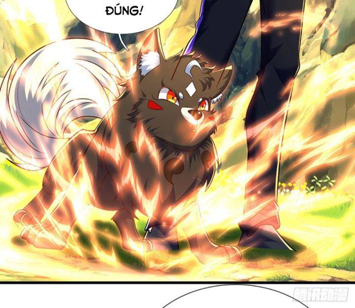 Luyện Thể Trăm Nghìn Tầng - Chapter 347 - Page 54