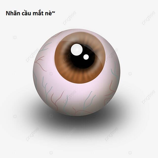 Hổ Đến Chơi Nhà - Chapter 88 - Page 60