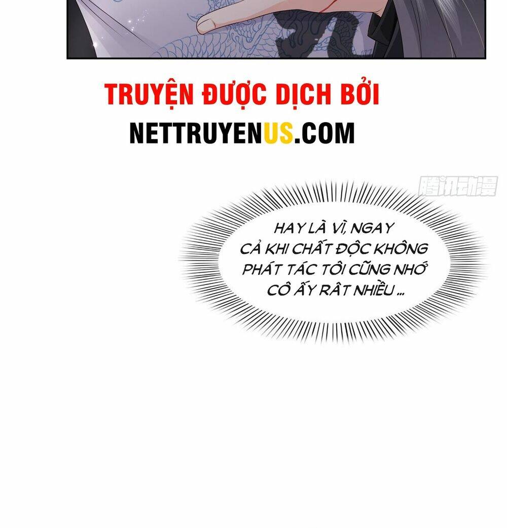 Hệt Như Hàn Quang Gặp Nắng Gắt Chapter 494 - Trang 4
