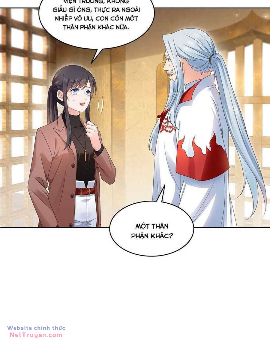 Hệt Như Hàn Quang Gặp Nắng Gắt Chapter 539 - Trang 4