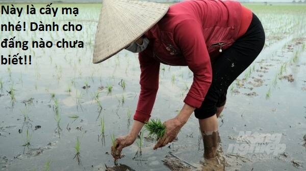 Hổ Đến Chơi Nhà - Chapter 90 - Page 83