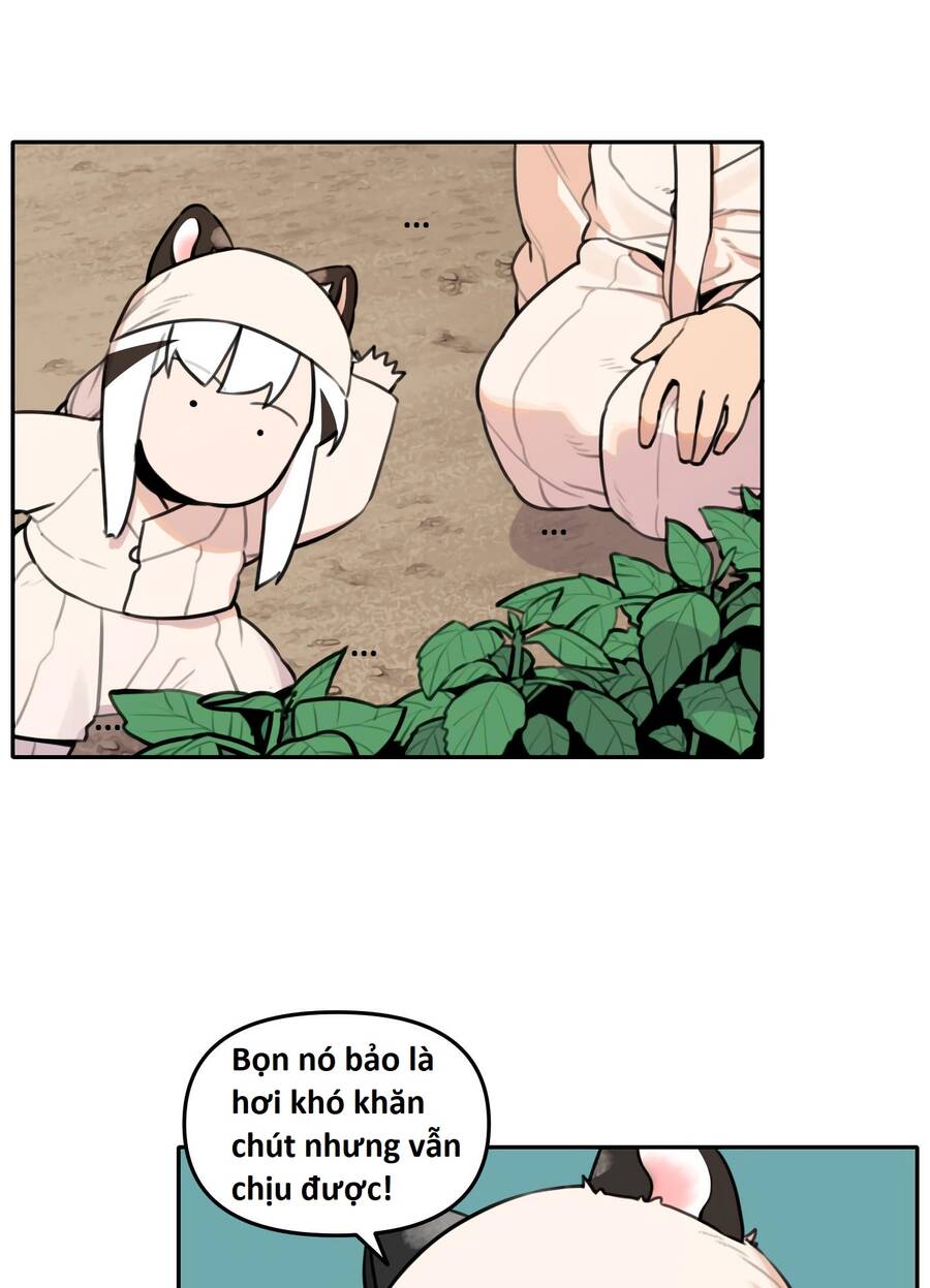 Hổ Đến Chơi Nhà - Chapter 91 - Page 52