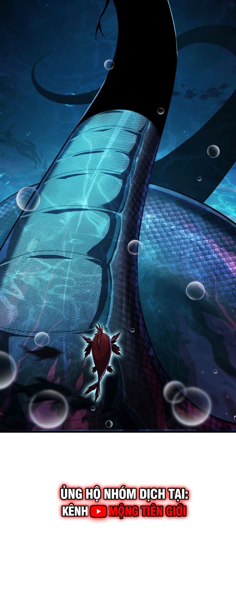 Linh Khí Khôi Phục: Từ Cá Chép Tiến Hoá Thành Thần Long - Chapter 4 - Page 11