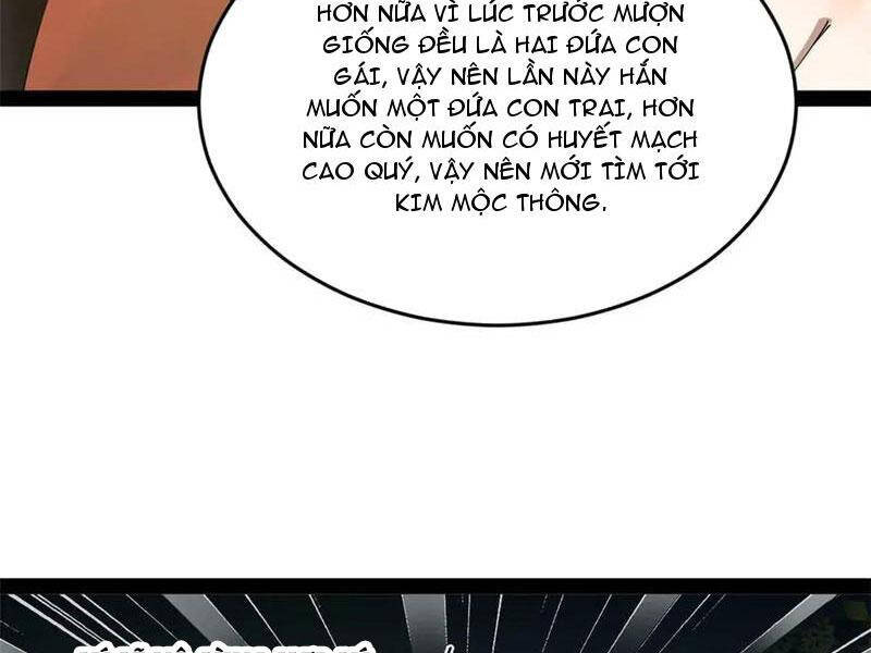 Chàng Rể Mạnh Nhất Lịch Sử - Chapter 194 - Page 13