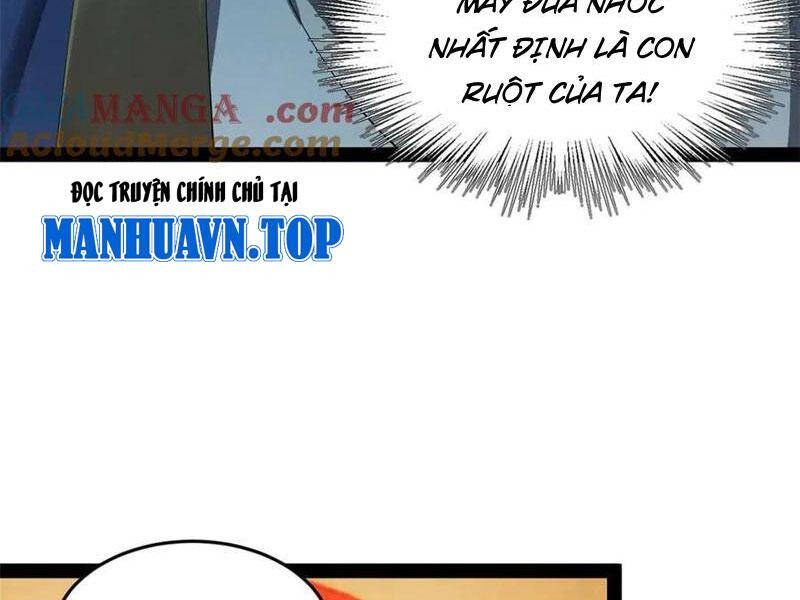 Chàng Rể Mạnh Nhất Lịch Sử - Chapter 194 - Page 32