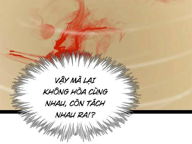 Chàng Rể Mạnh Nhất Lịch Sử - Chapter 194 - Page 81