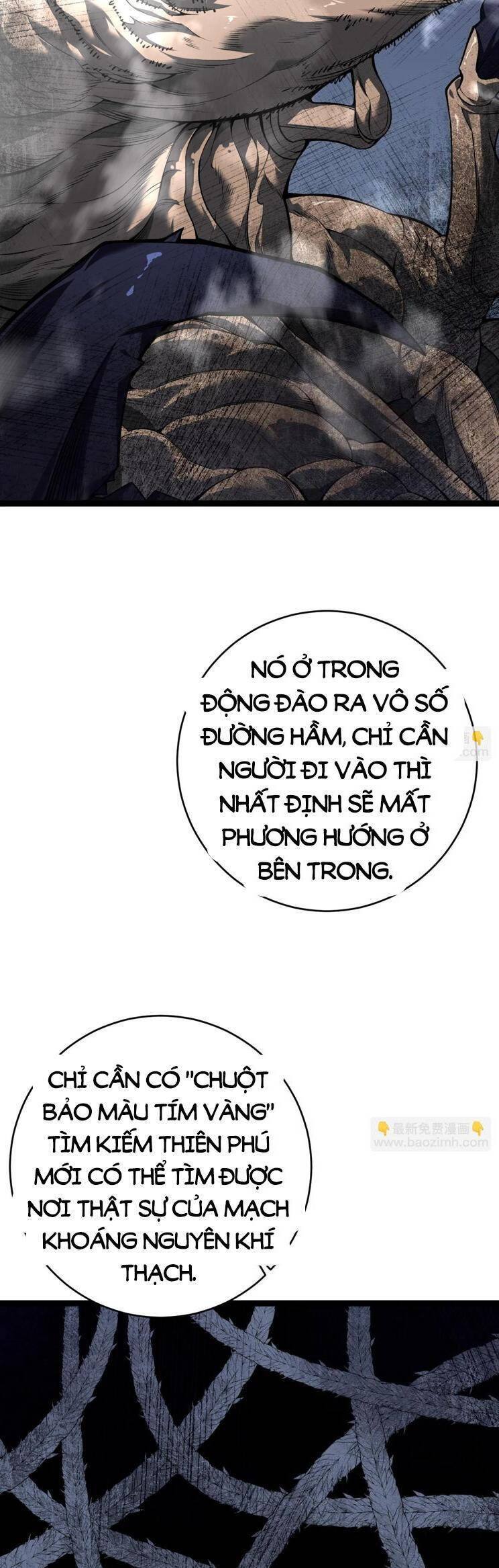 Thiên Phú Của Ngươi Giờ Là Của Ta - Chapter 78 - Page 21