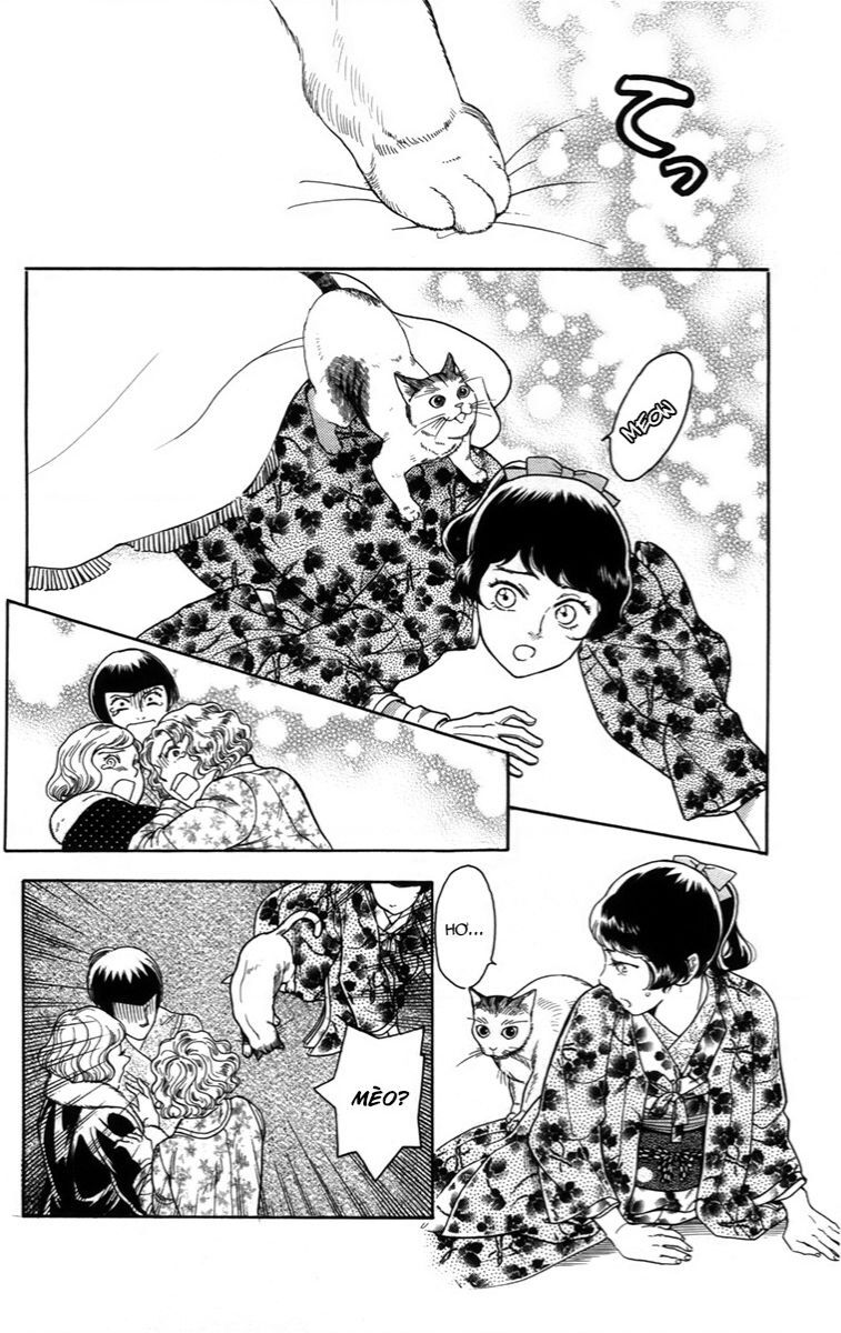 Madame Petit - Chapter 18 - Page 27