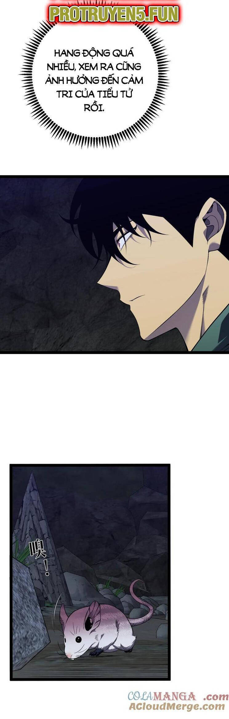 Thiên Phú Của Ngươi Giờ Là Của Ta - Chapter 79 - Page 23