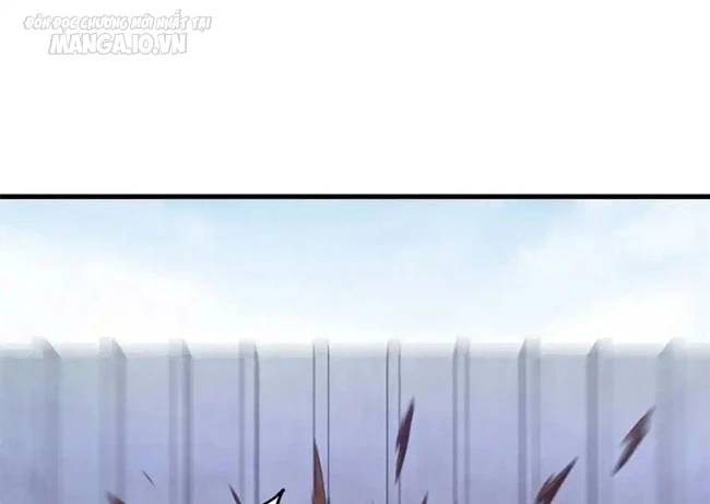 Trưởng Giám Ngục Trông Coi Các Ma Nữ - Chapter 70 - Page 29