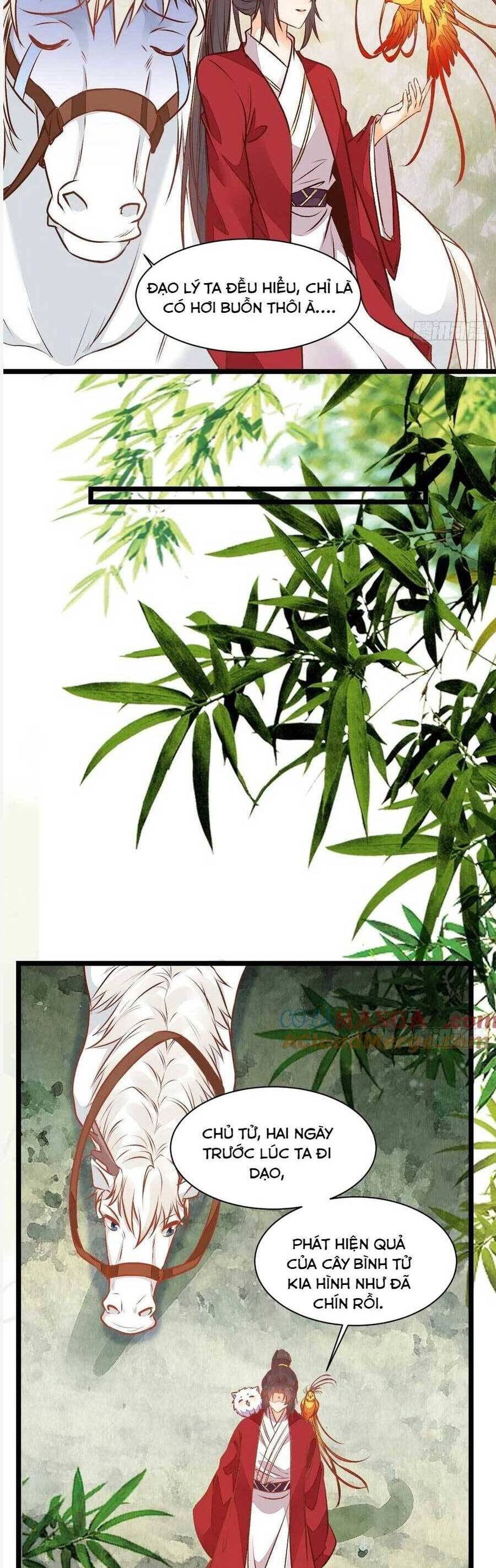 Tuyệt Sắc Quyến Rũ Quỷ Y Chí Tôn - Chapter 504 - Page 7