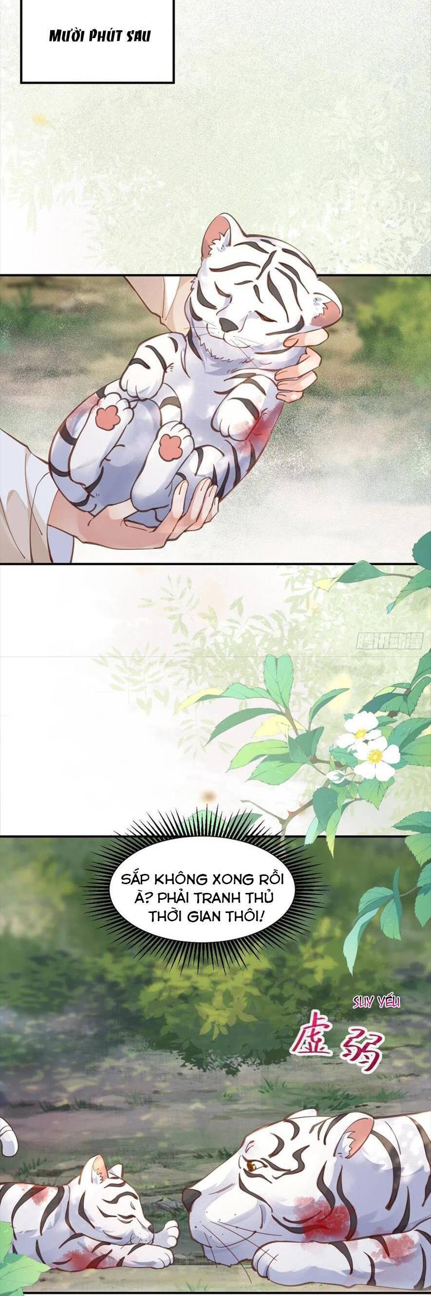 Tuyệt Sắc Quyến Rũ Quỷ Y Chí Tôn - Chapter 539 - Page 11