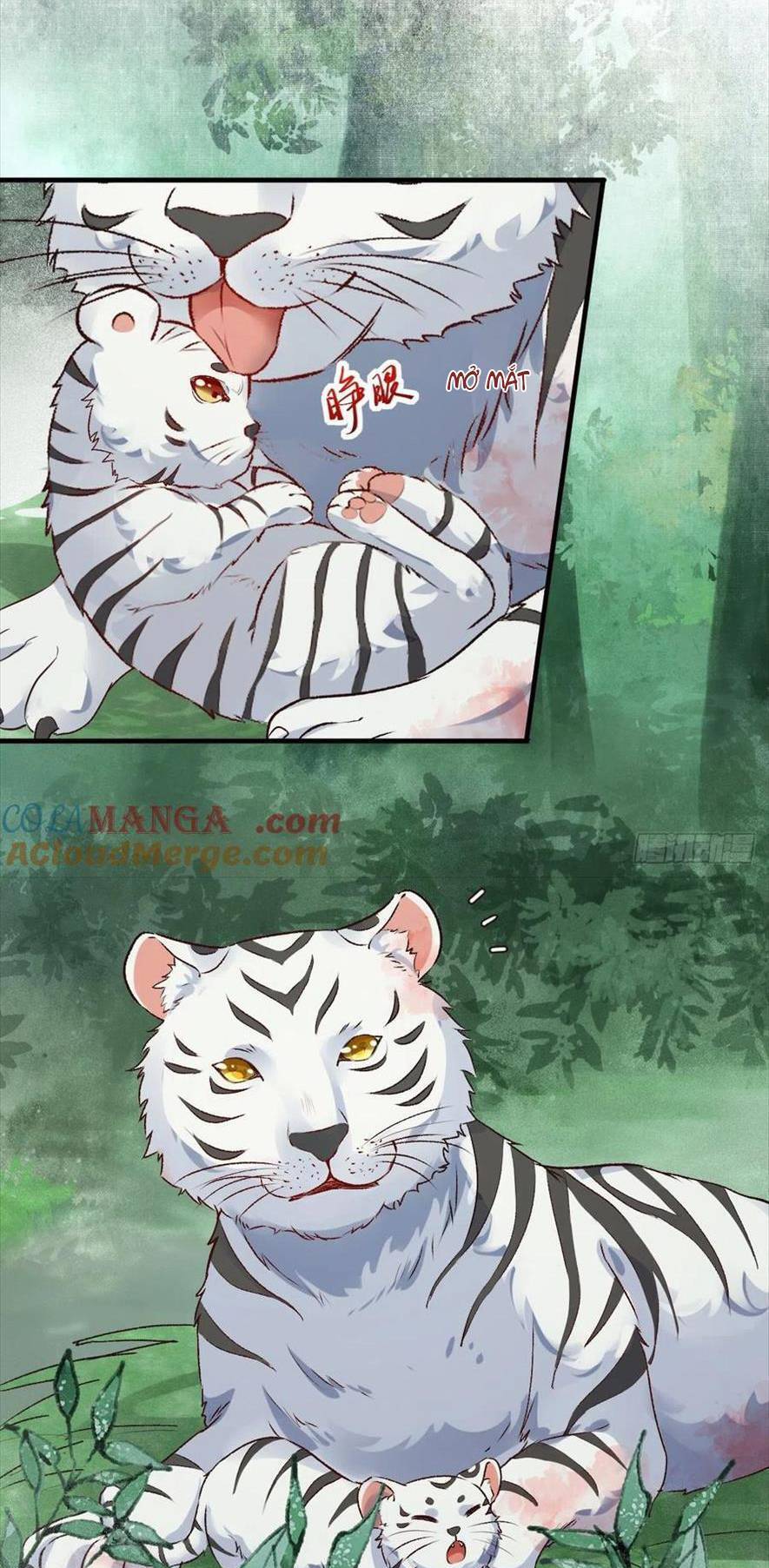 Tuyệt Sắc Quyến Rũ Quỷ Y Chí Tôn - Chapter 540 - Page 4