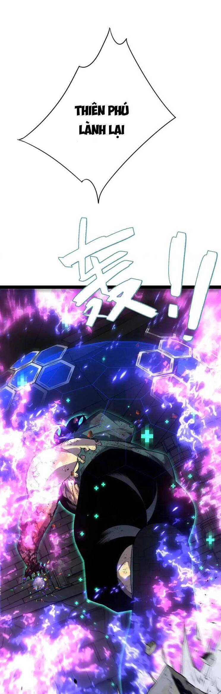 Thiên Phú Của Ngươi Giờ Là Của Ta - Chapter 81 - Page 17