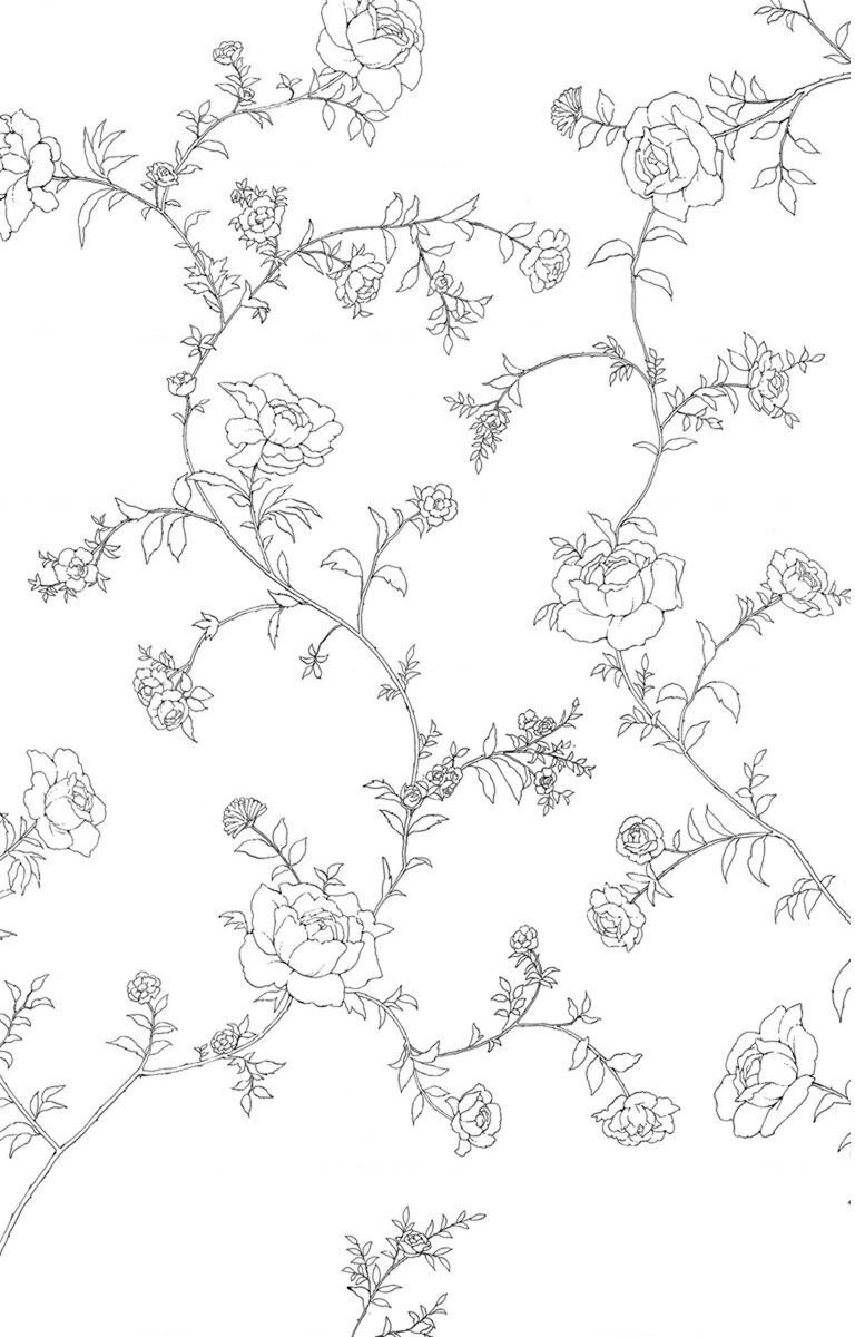 Madame Petit - Chapter 25 - Page 8