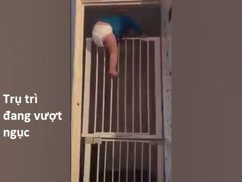 Hổ Đến Chơi Nhà - Chapter 97 - Page 146