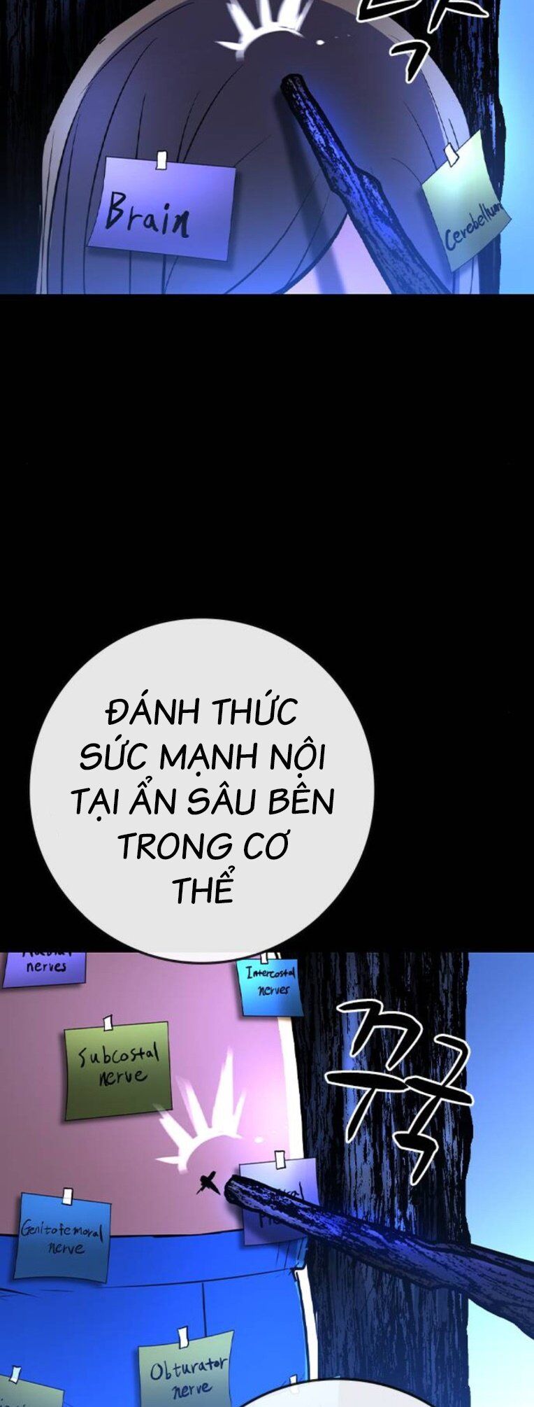 Phòng Gym Hanlim - Chapter 171 - Page 4