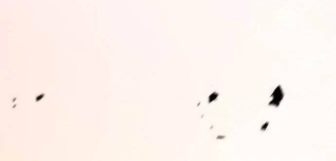 Ma Đạo Chuyển Sinh Ký - Chapter 73 - Page 72