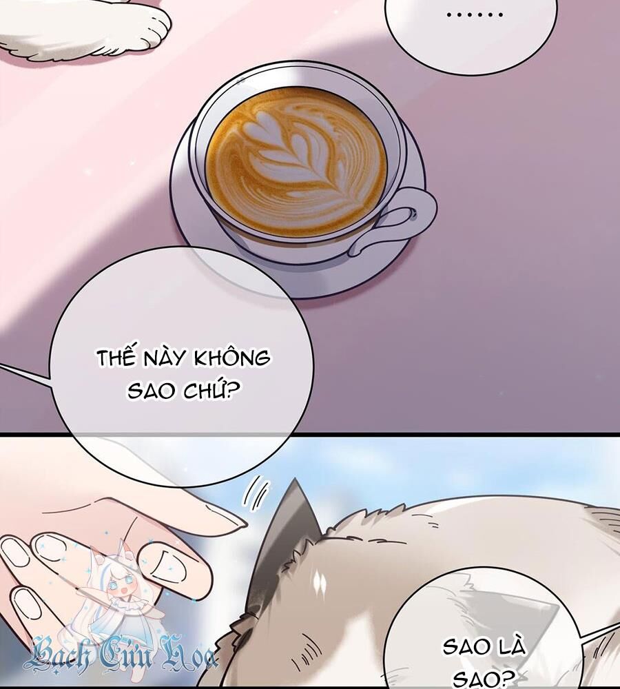 Làm Sao Để Chạy Trốn Dàn Hậu Cung Chapter 124 - Trang 7