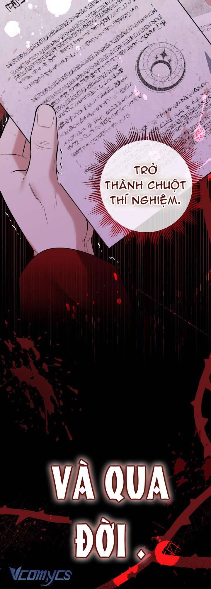 Tiểu Thư Tích Tiền Đi Bụi - Chapter 53 - Page 52