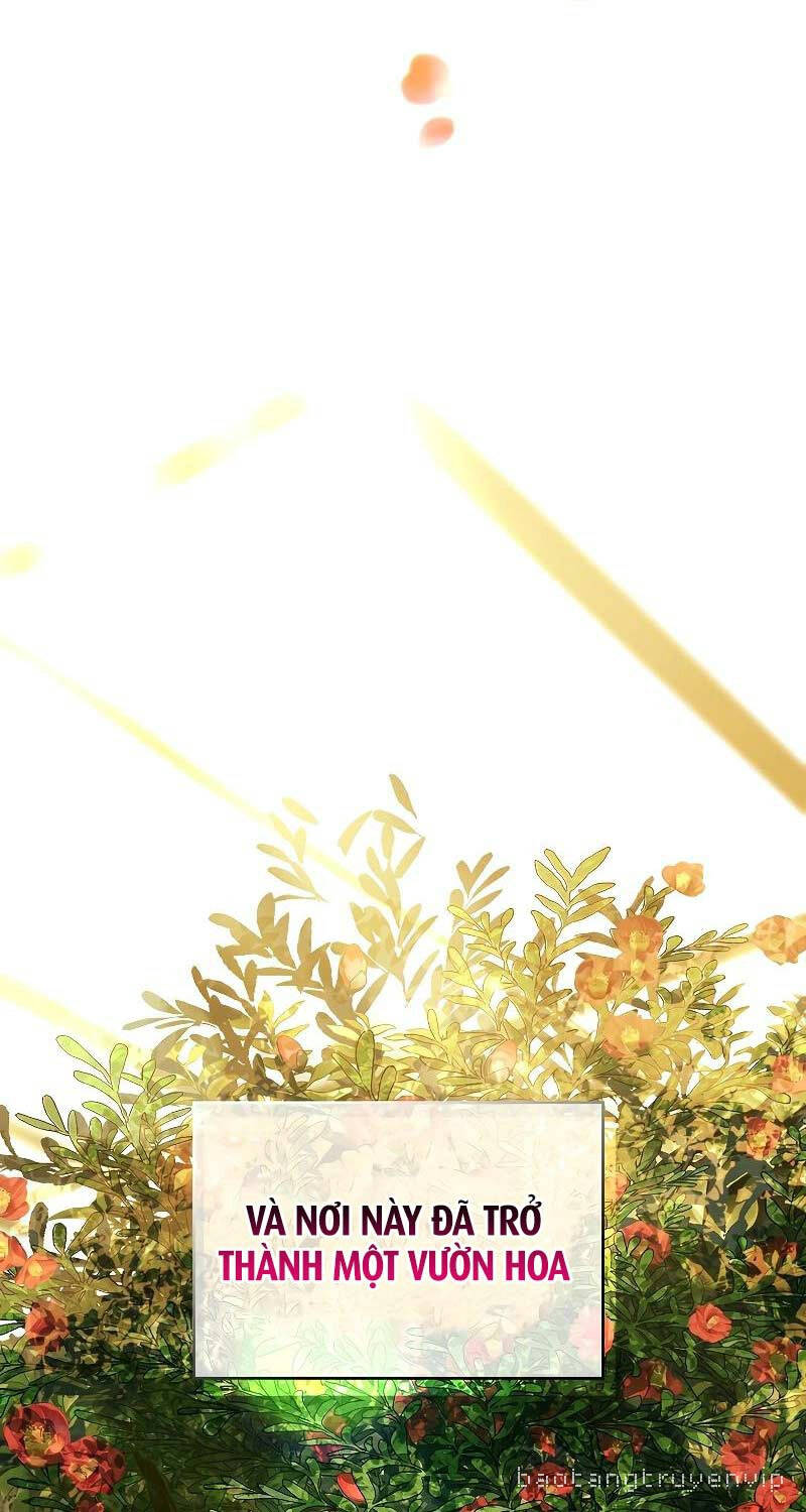 Thiên Tài Ma Pháp Sư Giấu Nghề - Chapter 81 - Page 25