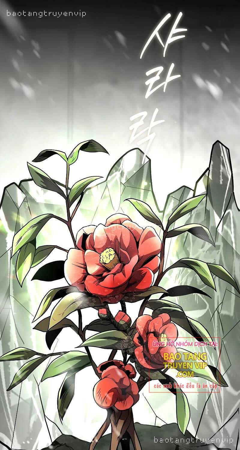 Thiên Tài Ma Pháp Sư Giấu Nghề - Chapter 81 - Page 9