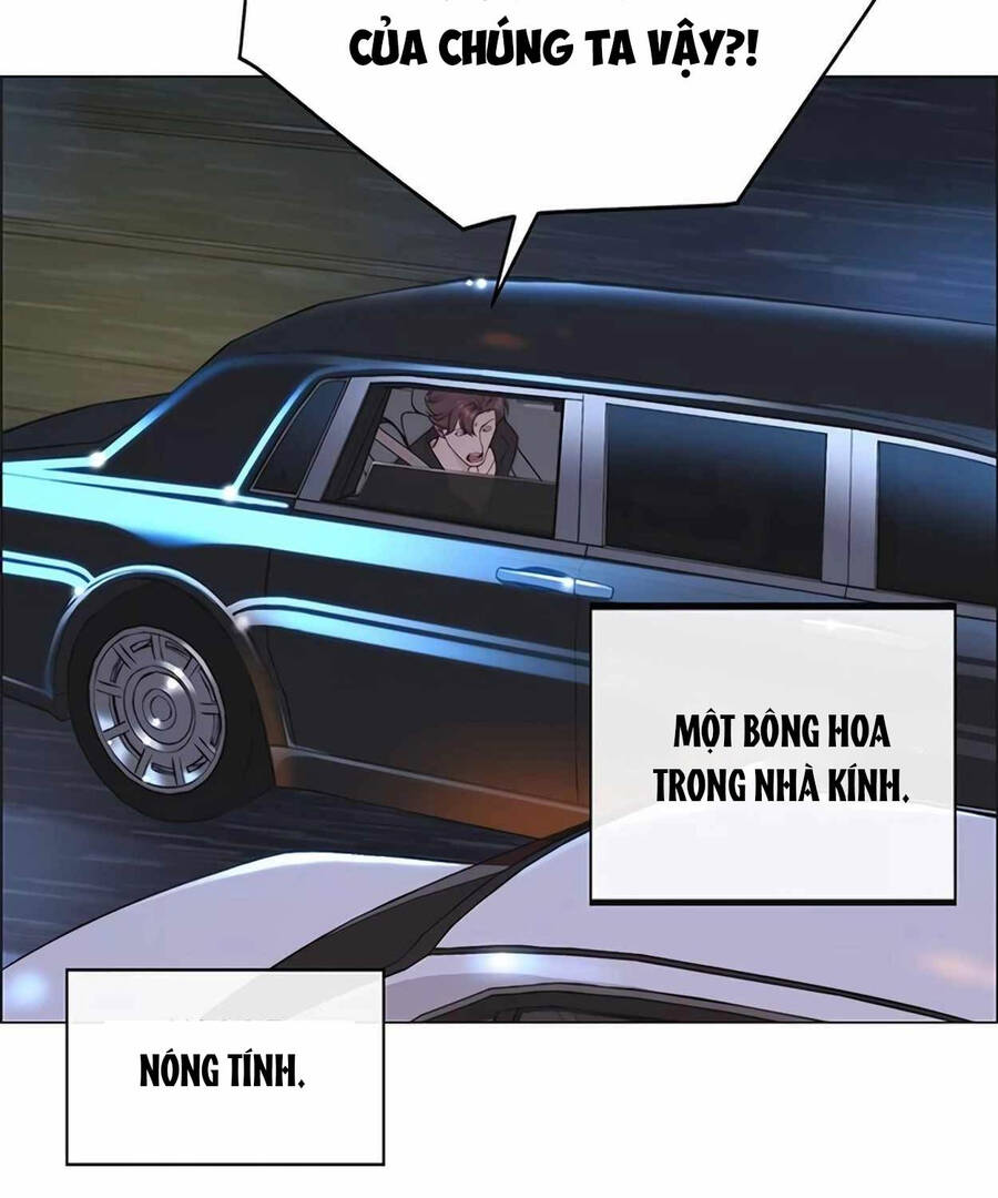 Người Đàn Ông Thực Thụ Chapter 172 - Trang 111