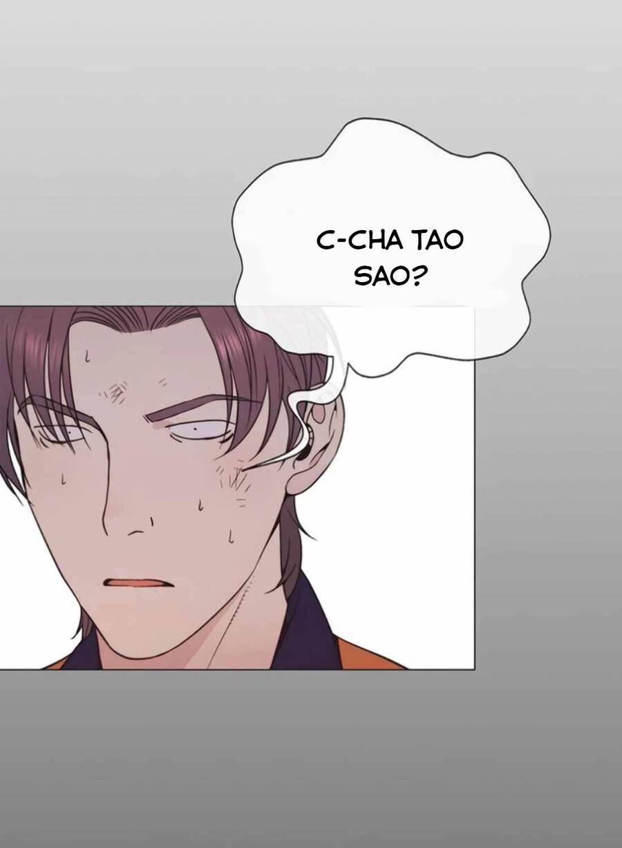 Người Đàn Ông Thực Thụ Chapter 178 - Trang 138