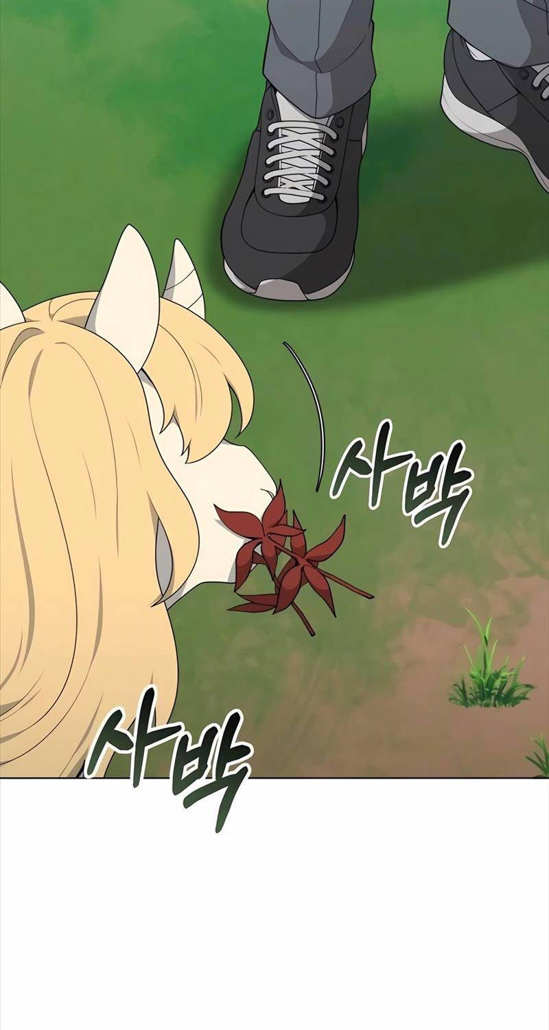 Tôi Làm Vườn Tại Thế Giới Thợ Săn - Chapter 40 - Page 44