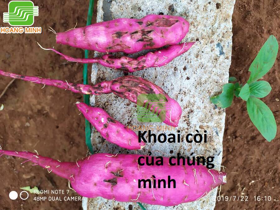 Hổ Đến Chơi Nhà - Chapter 100 - Page 75