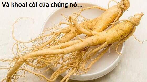 Hổ Đến Chơi Nhà - Chapter 100 - Page 76