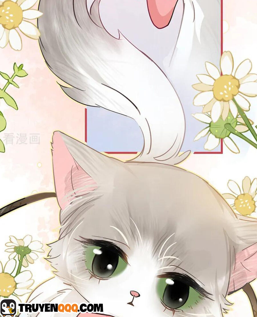 Sau Khi Công Chúa Bội Tình Bạc Nghĩa - Chapter 48 - Page 34