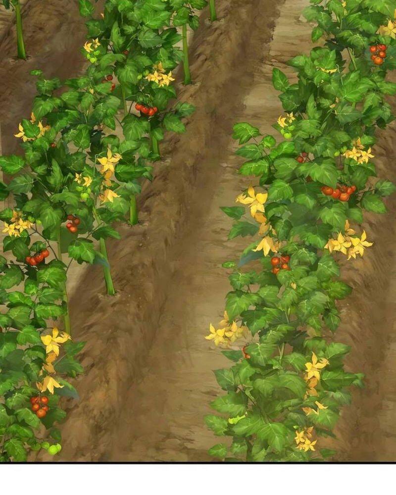 Làm Nông Dân Trong Tòa Tháp Thử Thách - Chapter 71 - Page 261