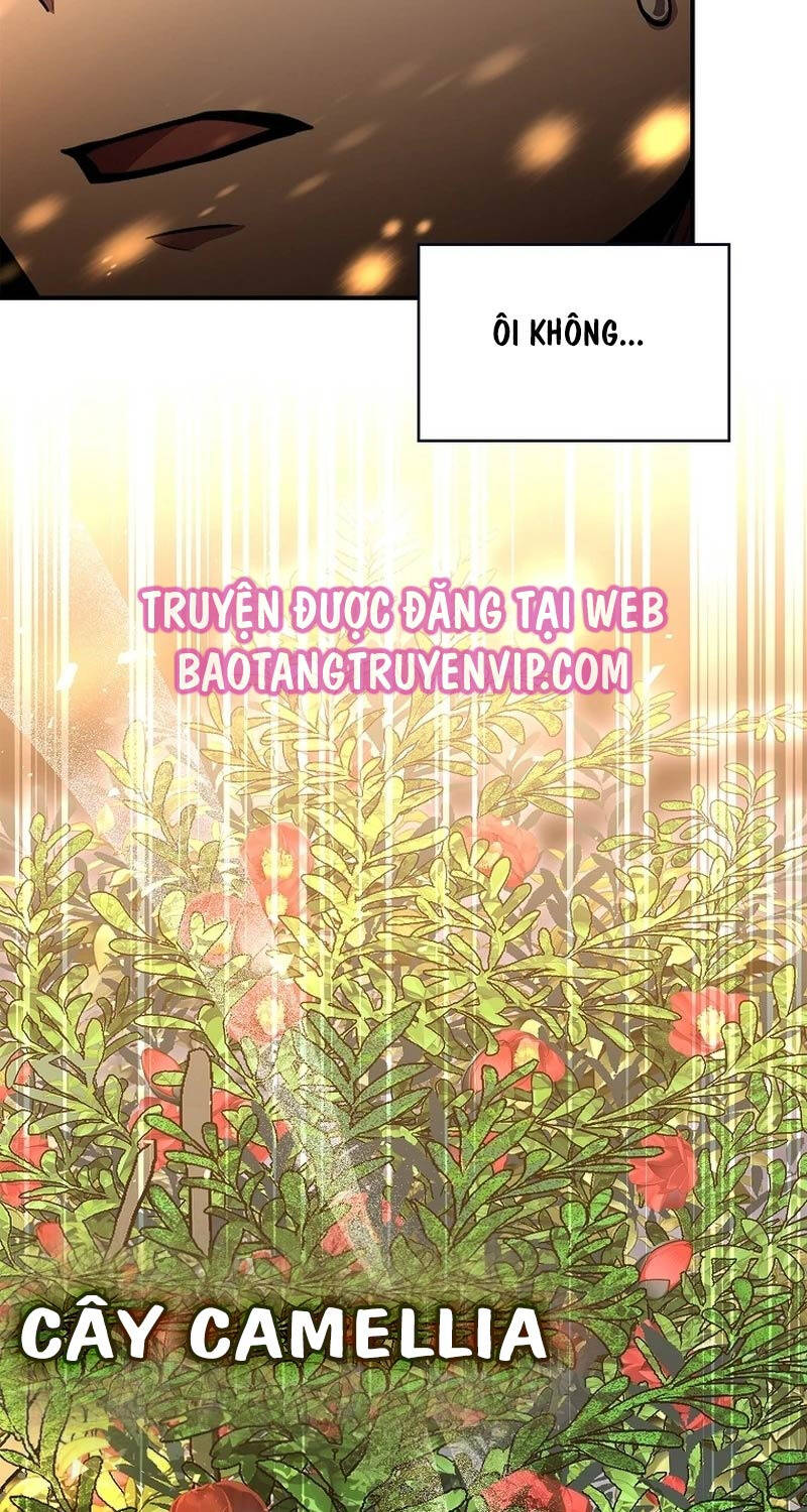 Thiên Tài Ma Pháp Sư Giấu Nghề - Chapter 83 - Page 114