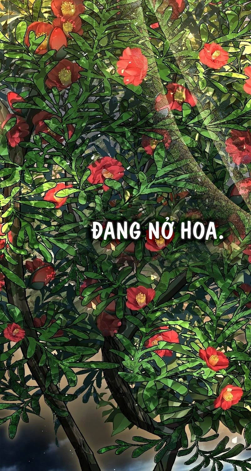 Thiên Tài Ma Pháp Sư Giấu Nghề - Chapter 83 - Page 115