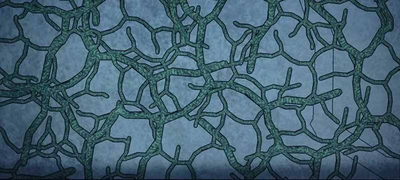 Tôi đã trở thành quái vật không gian - Chapter 21 - Page 19