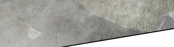 Sát thủ mạnh nhất chuyển sinh sang thế giới khác - Chapter 46 - Page 377