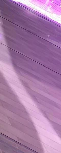 Đệ Tử Tu Luyện Còn Ta Thì Lười Biếng - Chapter 83 - Page 230