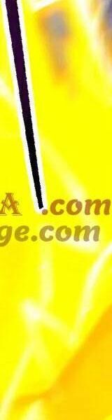 Đệ Tử Tu Luyện Còn Ta Thì Lười Biếng - Chapter 84 - Page 31