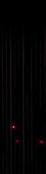 Đệ Tử Tu Luyện Còn Ta Thì Lười Biếng - Chapter 84 - Page 88