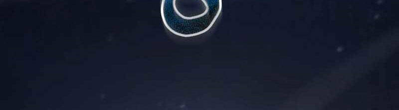 Giả Vờ Làm Kẻ Vô Dụng Ở Học Đường - Chapter 77 - Page 13