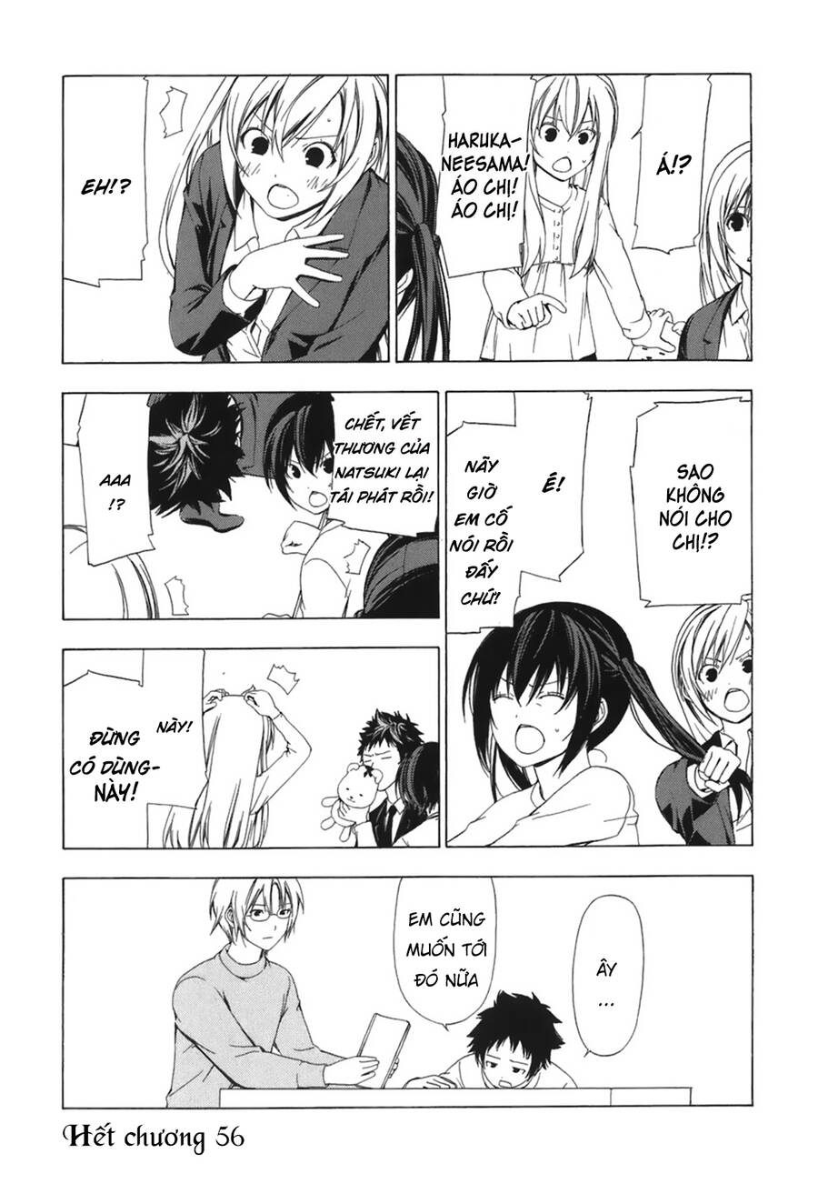 Minami-ke - Chapter 56 - Page 10