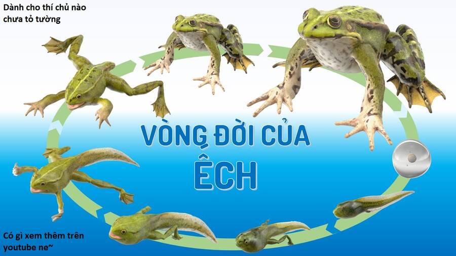 Hổ Đến Chơi Nhà - Chapter 101 - Page 95