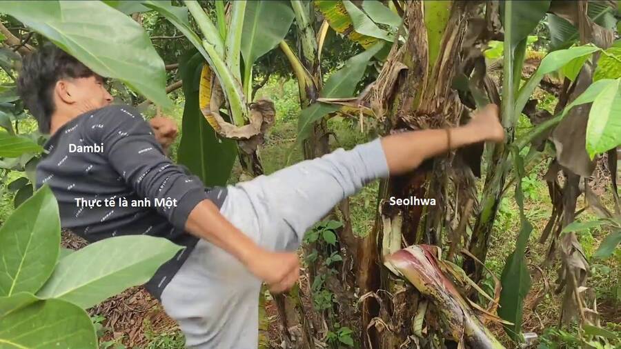 Hổ Đến Chơi Nhà - Chapter 104 - Page 30