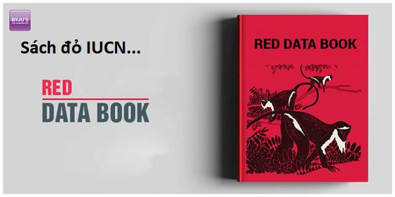 Hổ Đến Chơi Nhà - Chapter 104 - Page 31