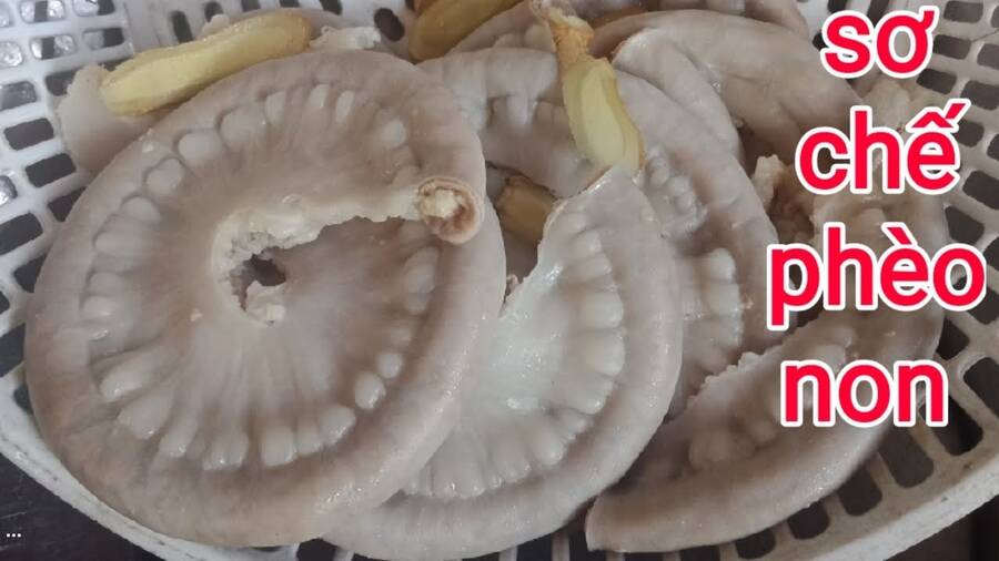 Hổ Đến Chơi Nhà - Chapter 104 - Page 34