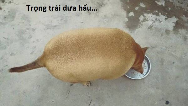 Hổ Đến Chơi Nhà - Chapter 105 - Page 102