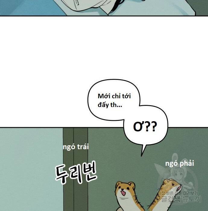 Hổ Đến Chơi Nhà - Chapter 105 - Page 28