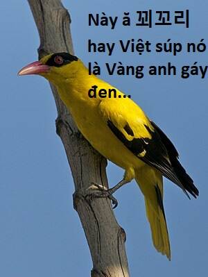 Hổ Đến Chơi Nhà - Chapter 107 - Page 82